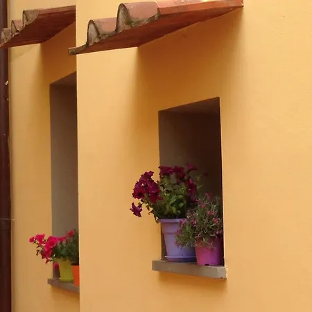 Cosy House Отель типа 