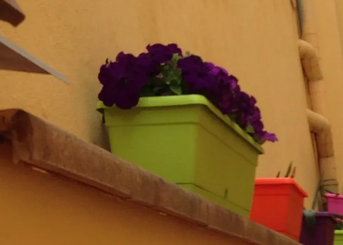 Cosy House 3* Флоренция