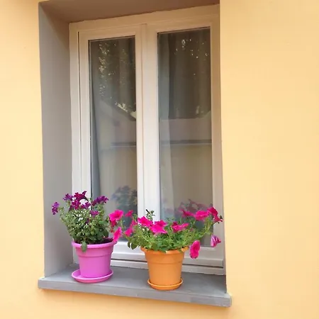 Cosy House Bed and breakfast Florencia